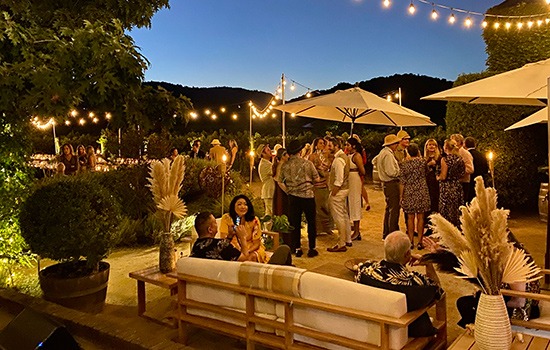 Guests gathered under string lights at an evening event in the vineyard