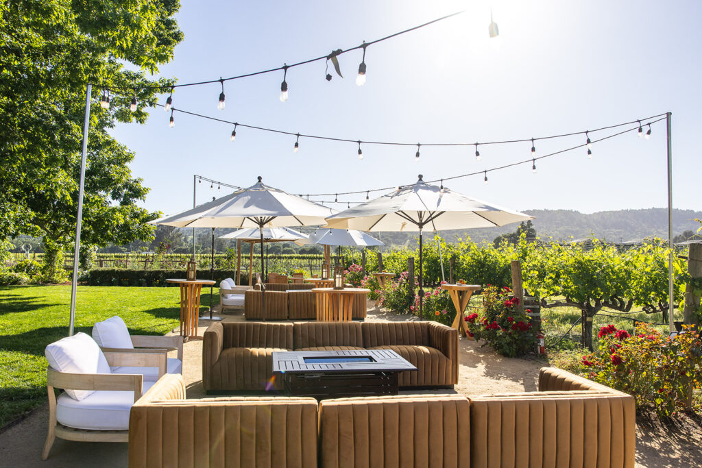Lounge chairs next to vineyard vines