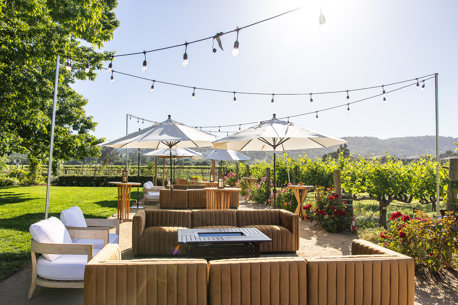 Lounge chairs next to the vineyard at O’Brien Estate