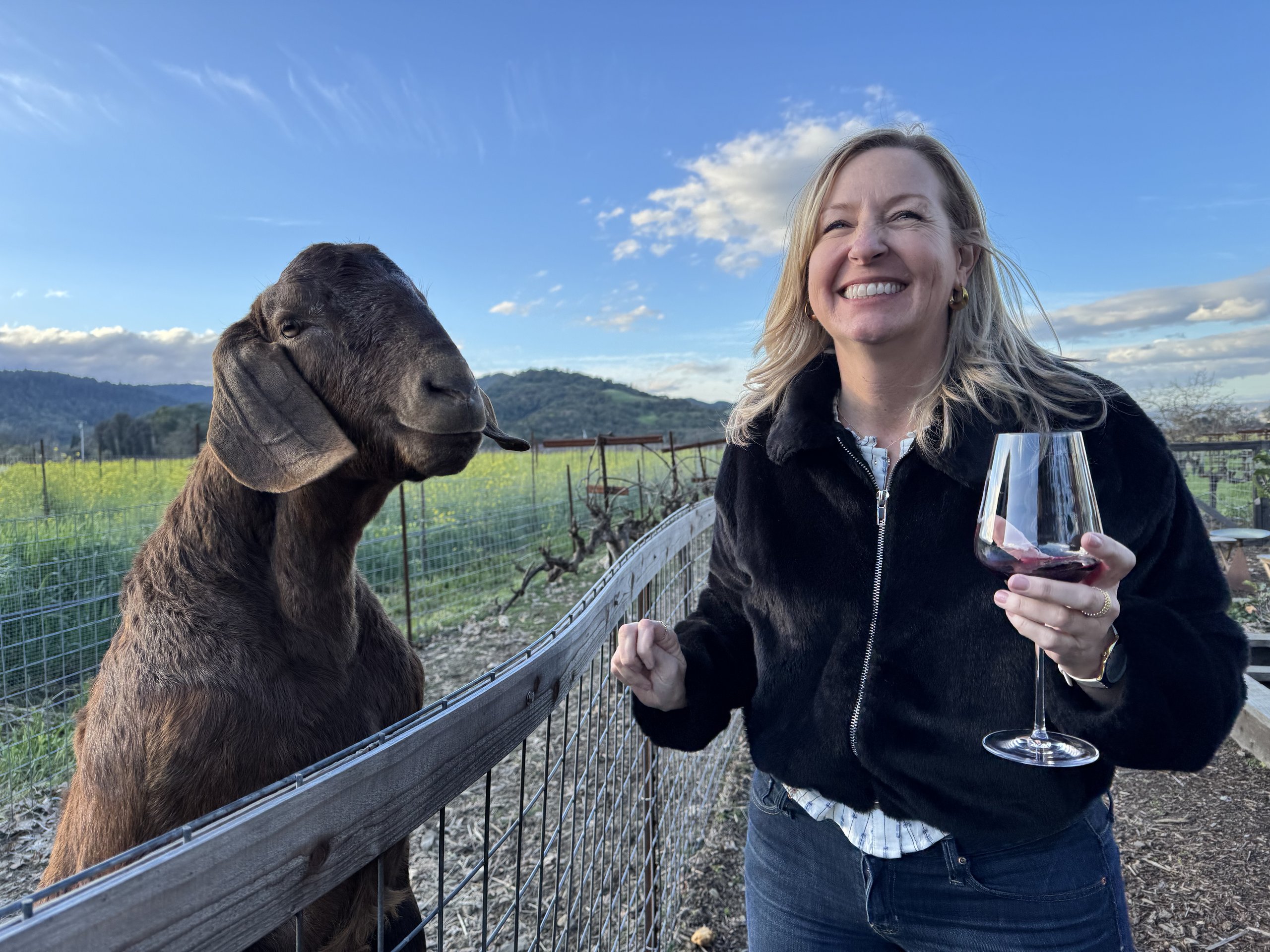 Smiling guest holding a glass of red wine beside a friendly goat at O'Brien Estate vineyard in Napa Valley