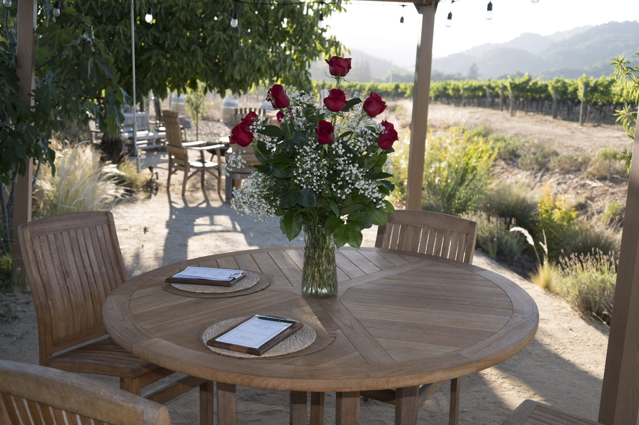 The north gazebo table at O'Brien Estate set with a dozen red roses, string lights above and the vineyard beyond