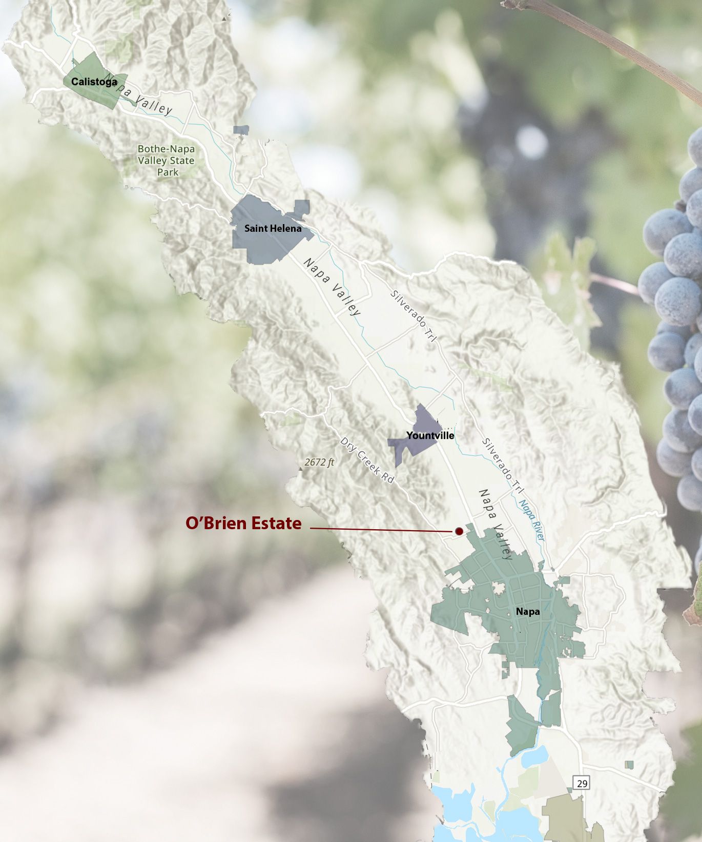 Map of O’Brien Estate vineyard blocks, Oak Knoll District, Napa Valley