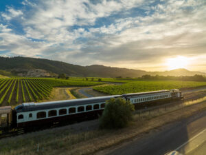 Unique Things to Do in Napa Valley Beyond Wine Tasting